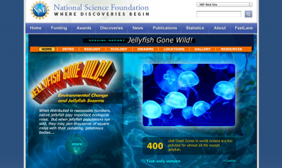 NSF Special Report: Jellyfish